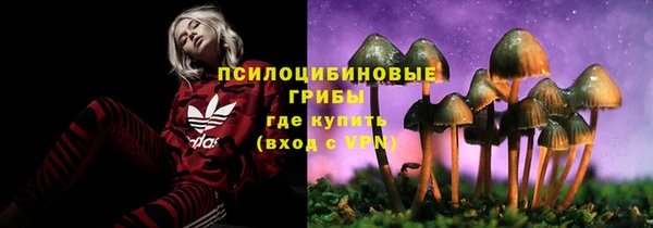 мескалин Медногорск