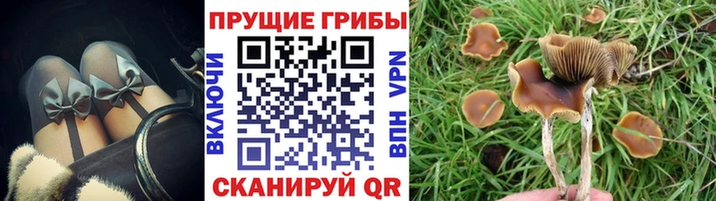 Псилоцибиновые грибы Magic Shrooms  darknet формула  Оренбург 