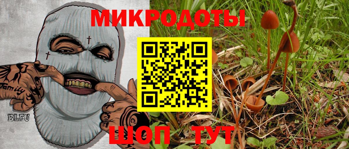 Галлюциногенные грибы Cubensis  Вход с VPN  Галлюциногенные грибы GOLDEN TEACHER  Оренбург 